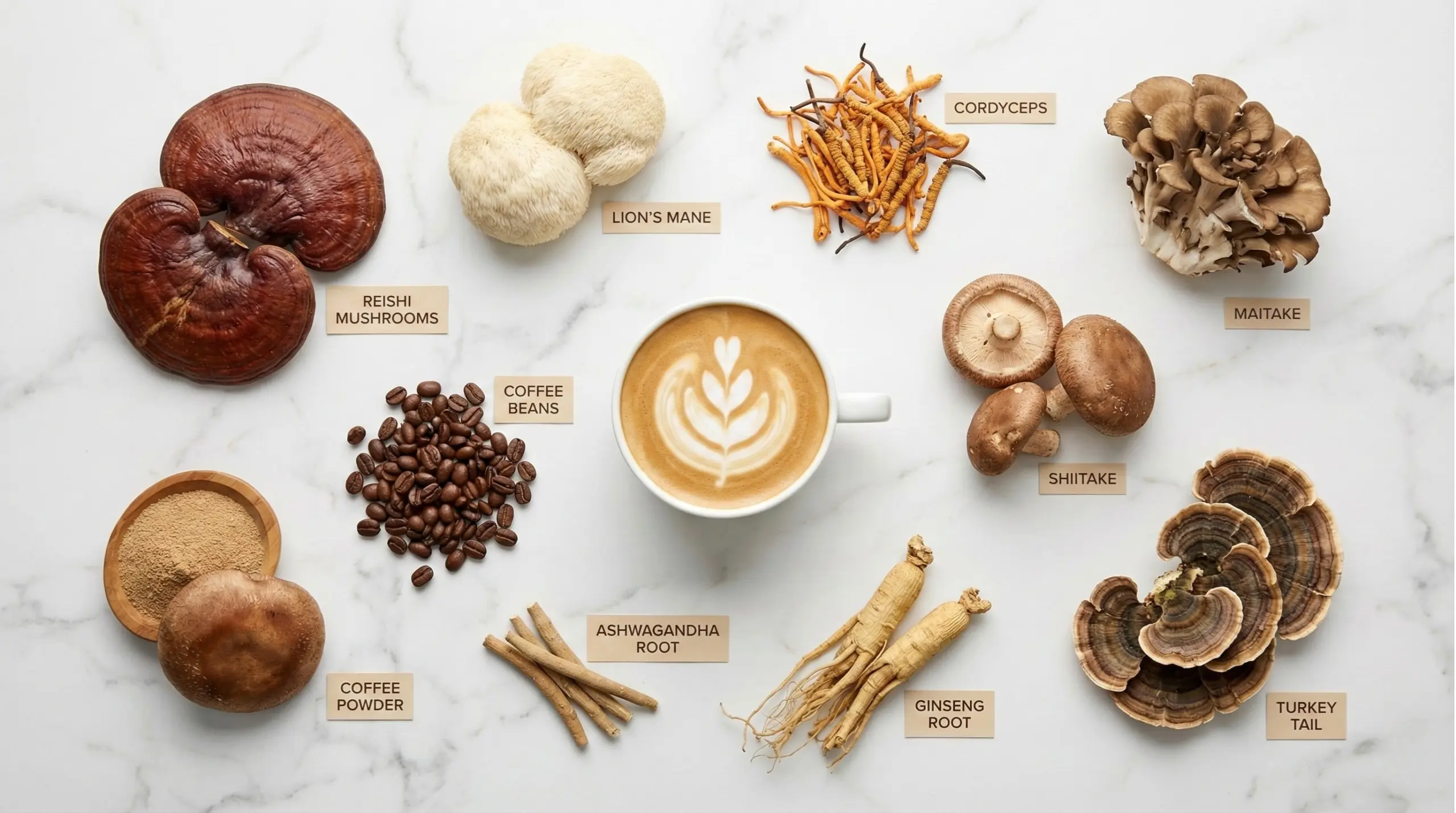Functional mushroom ingredients - Reishi, Lion's Mane, Cordyceps